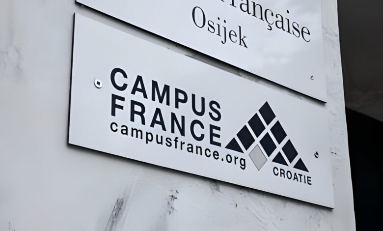 QUEL PARCOURS PROFESSIONNEL POUR LES ÉTUDIANTS INTERNATIONAUX FORMÉS EN FRANCE 